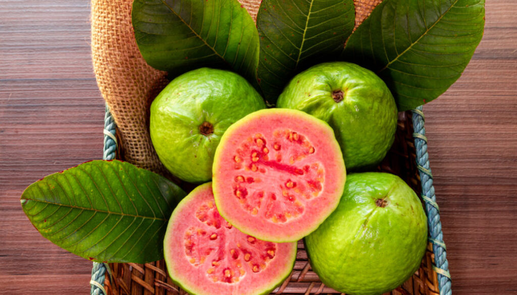 benefits of guava